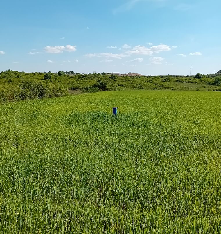Hydrogeologia i ochrona  środowiska - zarządzanie zasobami wodnymi  i ryzykiem środowiskowym